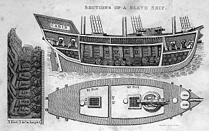 Walsh-cross-section-of-slave-ship-1830