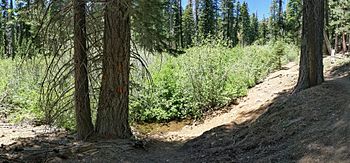 Watson Creek and Trail California.jpg