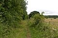 Wheathampstead LNR 4