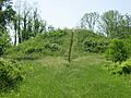 Williamson Mound, southern side comprehensive