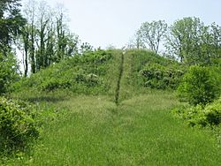 Williamson Mound, southern side comprehensive