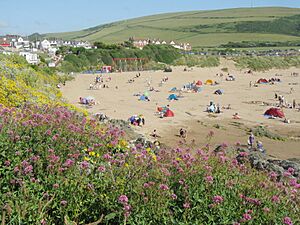 Woolacombe beach, North Devon, England arp