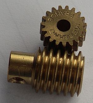 Worm Gear and Pinion
