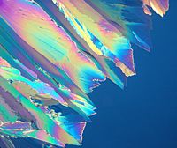 Citric acid crystals, magnified about 200 times, seen through a polarizing filter.