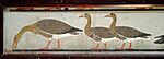 Ägyptisches Museum Kairo 2016-03-29 Gänse von Meidum 02