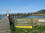 Aberlady Bay footbridge