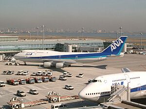 All Nippon Airways B747-481s at Tokyo International Airport's second terminal building