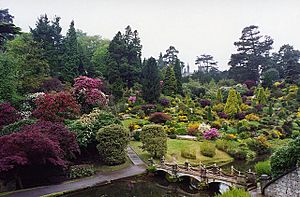 Alton Towers - geograph.org.uk - 1252658
