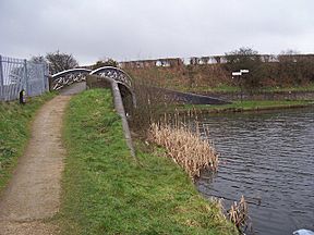 Anglesey Basin Bridge - Wyrley and Essington Canal, Anglesey Branch - geograph.org.uk - 902764.jpg