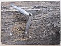 Anselm Kieffer - 'Glaube , Hoffnung, Liebe'