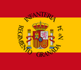 Bandera de Unidad Militar española