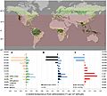 Biophysical Effects on Global Temperature From Deforestation by 10° Latitude Band