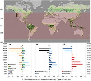 Biophysical Effects on Global Temperature From Deforestation by 10° Latitude Band