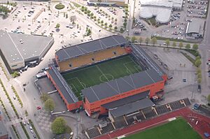 Borasarena
