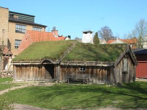 Bosmålatorpet på Kulturen