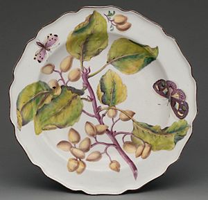 Botanical plate with spray of fruiting Indian Bean Tree MET DP-1687-038 (cropped)