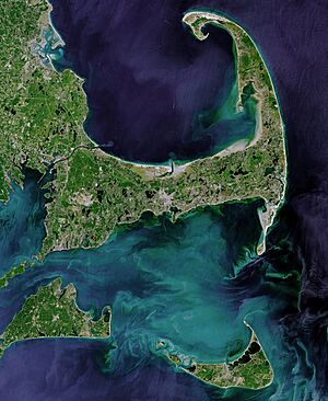 Cape Cod 432 pan crop 15 (29361883383)