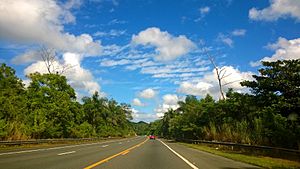 Puerto Rico Highway 142 in Río Lajas