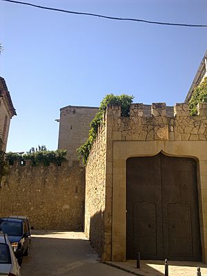 Castell-palau dels Espolters, Albatàrrec