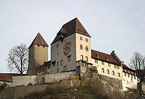 Castle burgdorf1