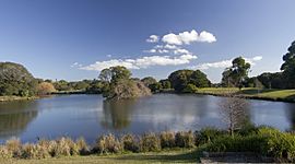 Centennial Park NSW 2021, Australia - panoramio (7).jpg
