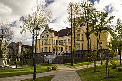 Chaimas Frenkelis Villa - panoramio (1)