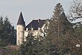 Chateau annonay-2