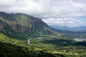 Cliffs of the Koolau Range, Oahu 58.jpg