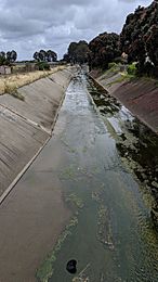 Colma Creek at Chestnut Ave