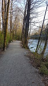 Coquitlam river trail