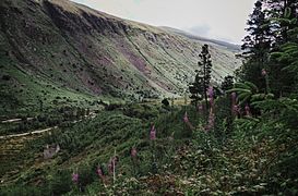 Disused crusher house, Glenmalure, Wicklow