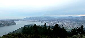 Dnfromsignalhill