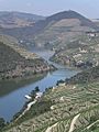Douro Valley Regua