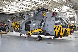 Duxford, Cambridgeshire, UK 16th February 2019 66’