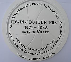 Edwin Butler plaque
