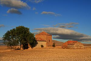 Ermita de la Magdalena.Buberos.Soria. (6237378028)