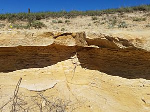 Fairport Chalk Limestone rhythmite bed by the Fencepost quarry on U.S. 183 near Schoenchen, Kansas 20180623 2