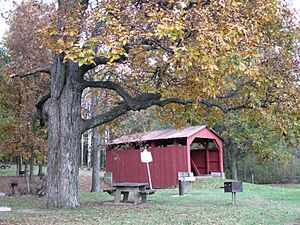 Fowlersville Covered Bridge 1