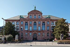 Frankfurt Am Main-Senckenberg Naturmuseum von Osten-20120325