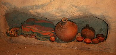 Gdańsk muzeum archeologiczne grób kurhanowy 09.07.10 pl