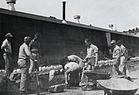 German internees Fort Stanton World War II