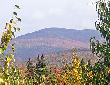 Graham Mountain from Balsam Lake jeep trail.jpg