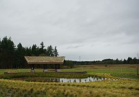 Graham Oaks Nature Park pond - Wilsonville, Oregon.JPG