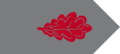 HR 00 01 Grupo C2