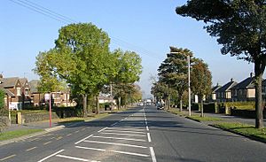 Harrogate Road - Eccleshill - geograph.org.uk - 592253.jpg