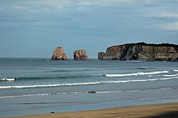 Hendaye Jumeaux