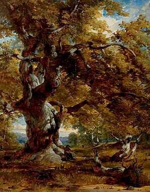 Henry Dawson - The Major Oak
