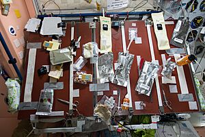 ISS-43 Food table in the Unity module