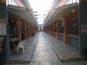 Interior of Plaza Juan Ponce de Leon (a.k.a., Plaza de los Perros) in Ponce, PR (IMG 2700)