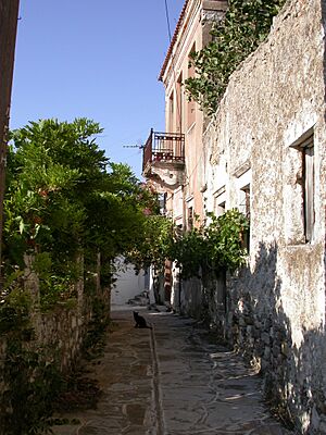 Kaloxilos Naxos Greece 2018081018100N08139